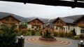 IMG_20191108_133741.jpg