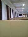 IMG_20200129_090243.jpg