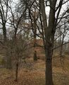av-fomin-botanical-garden.jpg