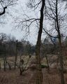 av-fomin-botanical-garden.jpg