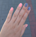 image1581231895274.png