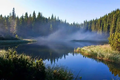 image1582310953770.png