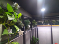 image1582610908886.png