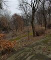 nice-walking-area.jpg