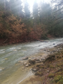 image1583786360829.png