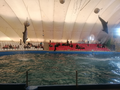 image1586553241714.png