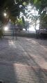 20190914_071547.jpg