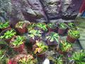 IMG_20200614_164651.jpg