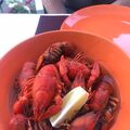 photo0jpg.jpg