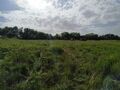IMG_20200620_164120.jpg