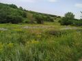 IMG_20200620_162304.jpg