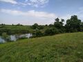 IMG_20200620_162651.jpg