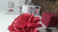 image1593500690005.png