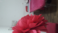 image1593500704961.png