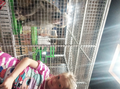 image1593507713517.png