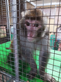 image1594386008818.png