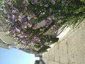 image1594557750715.png