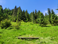 image1595339677733.png