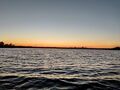 IMG_20200724_134146_953.jpg