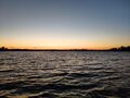 IMG_20200724_134153_978.jpg