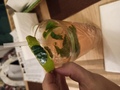 image1595818905641.png