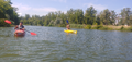 image1596053474203.png