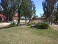 image1596894068052.png