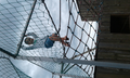 image1597295394568.png