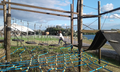 image1597295428770.png