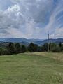 IMG_20200811_135546.jpg