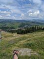 IMG_20200811_124525.jpg
