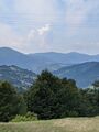 IMG_20200811_135540.jpg