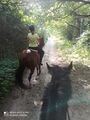 IMG_20200802_180512.jpg