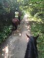 IMG_20200802_180509.jpg
