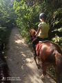IMG_20200802_180530.jpg