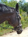 20200826_140818.jpg