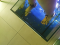 image1598524378096.png