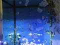 image1598611825192.png