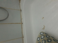 image1598816565889.png