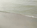 image1599840977922.png
