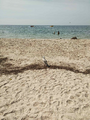 image1599841002865.png