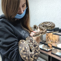 image1601226314475.png