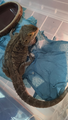image1601226324503.png