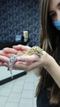 image1601226330370.png