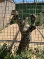 image1602452150711.png