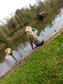 P01009-151851.jpg
