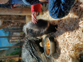 image1603411309303.png