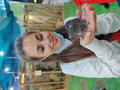 image1603411309352.png