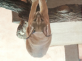 image1603548319426.png