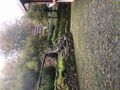 104074523.jpg